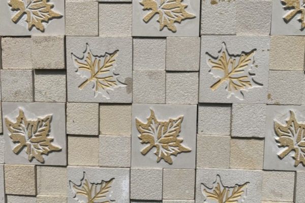 golden maple