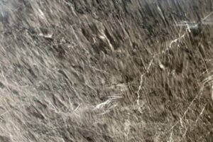 grey merquina